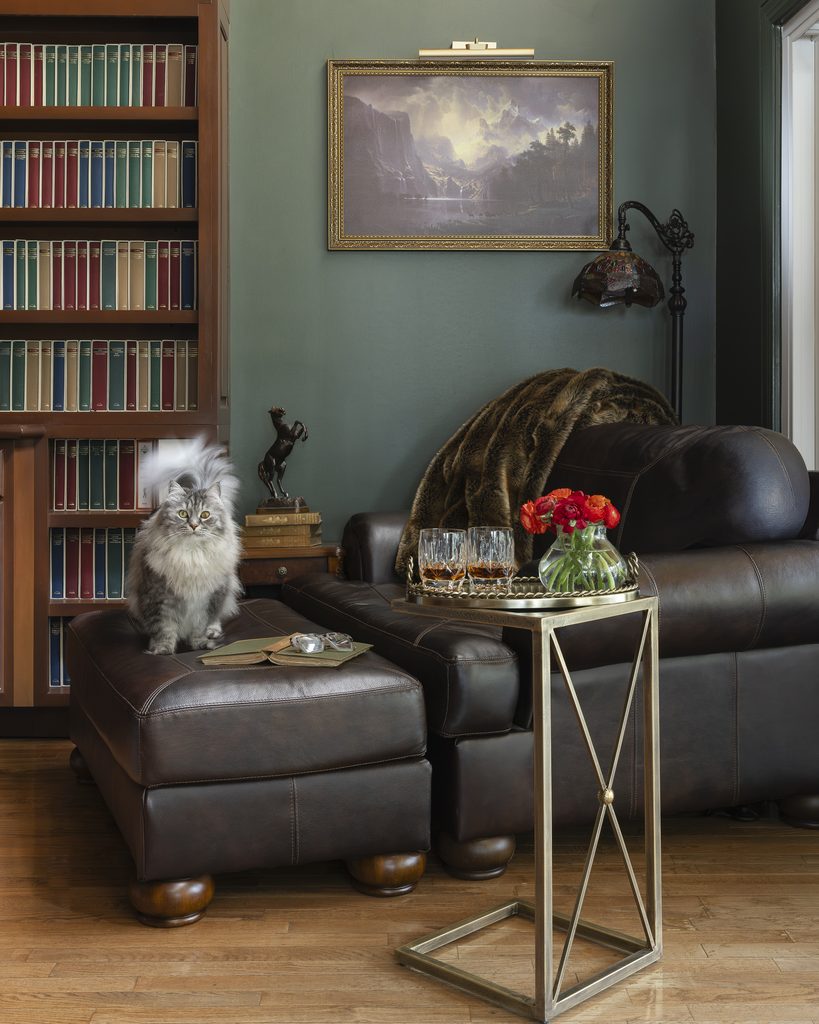 A long-haired gray cat sits on a brown ottoman in a cozy room with leather furniture, a bookshelf, a painting, red flowers, and glasses on a tray.